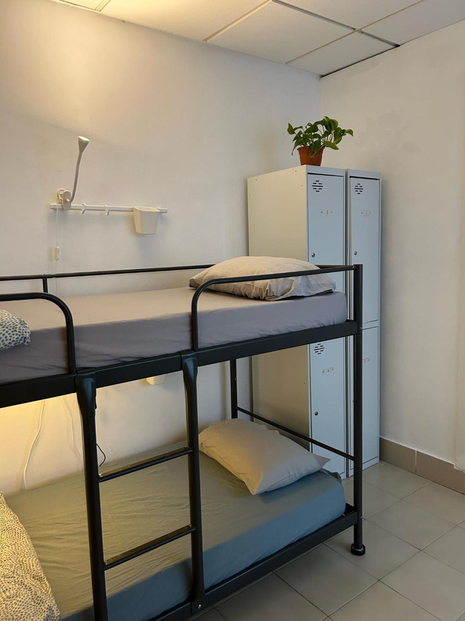 Nc Hostel لاس بالماس دي غران كاناريا المظهر الخارجي الصورة